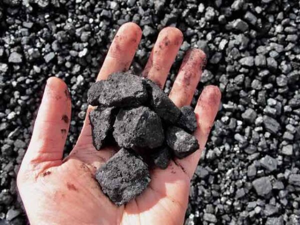 Bituminous Coal – High-Quality Industrial Coal Product - Maosa EA
